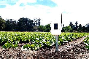 Complete, Wireless, Soil  Moisture, Temperature  Station, Wireless Soil Moisture Station, Wireless Temperature Station